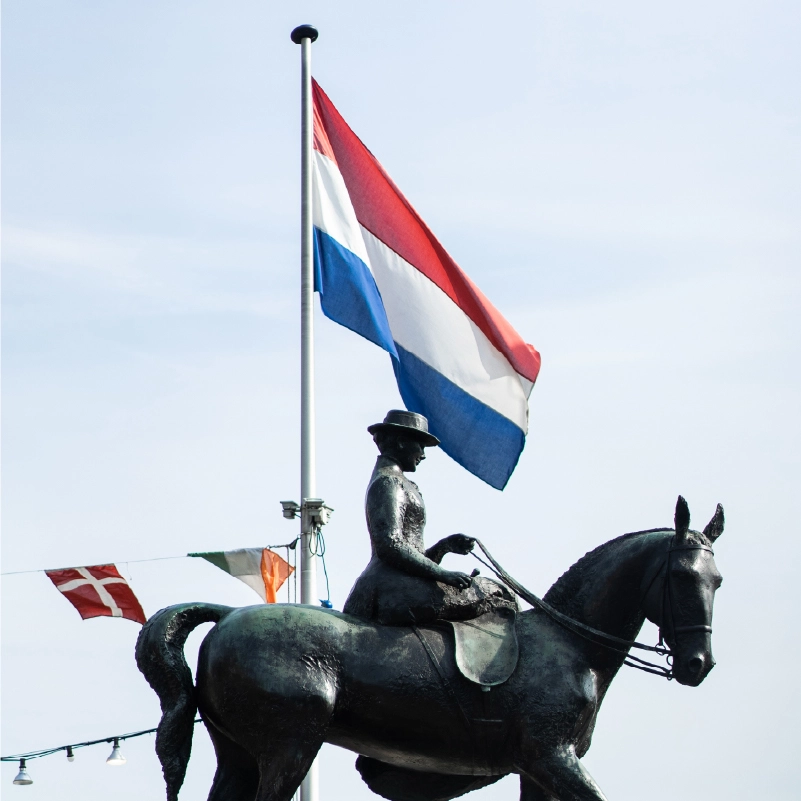 venta de banderas profesionales